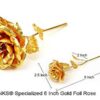 24K 6 Inch Gold Foil Rose Best Valentine’s Day Gift Handcrafted