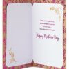 American Greetings Mean So Much Mother's Day Card With Glitter