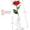 DeFaith 24K Gold Rose Made from Real Fresh Long Stem Rose Flower